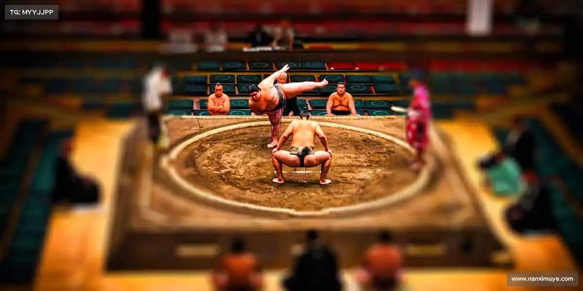 暗黑吃瓜网官网cgw.73入口让每部作品都成为经典,让每份热爱都有回响⏳